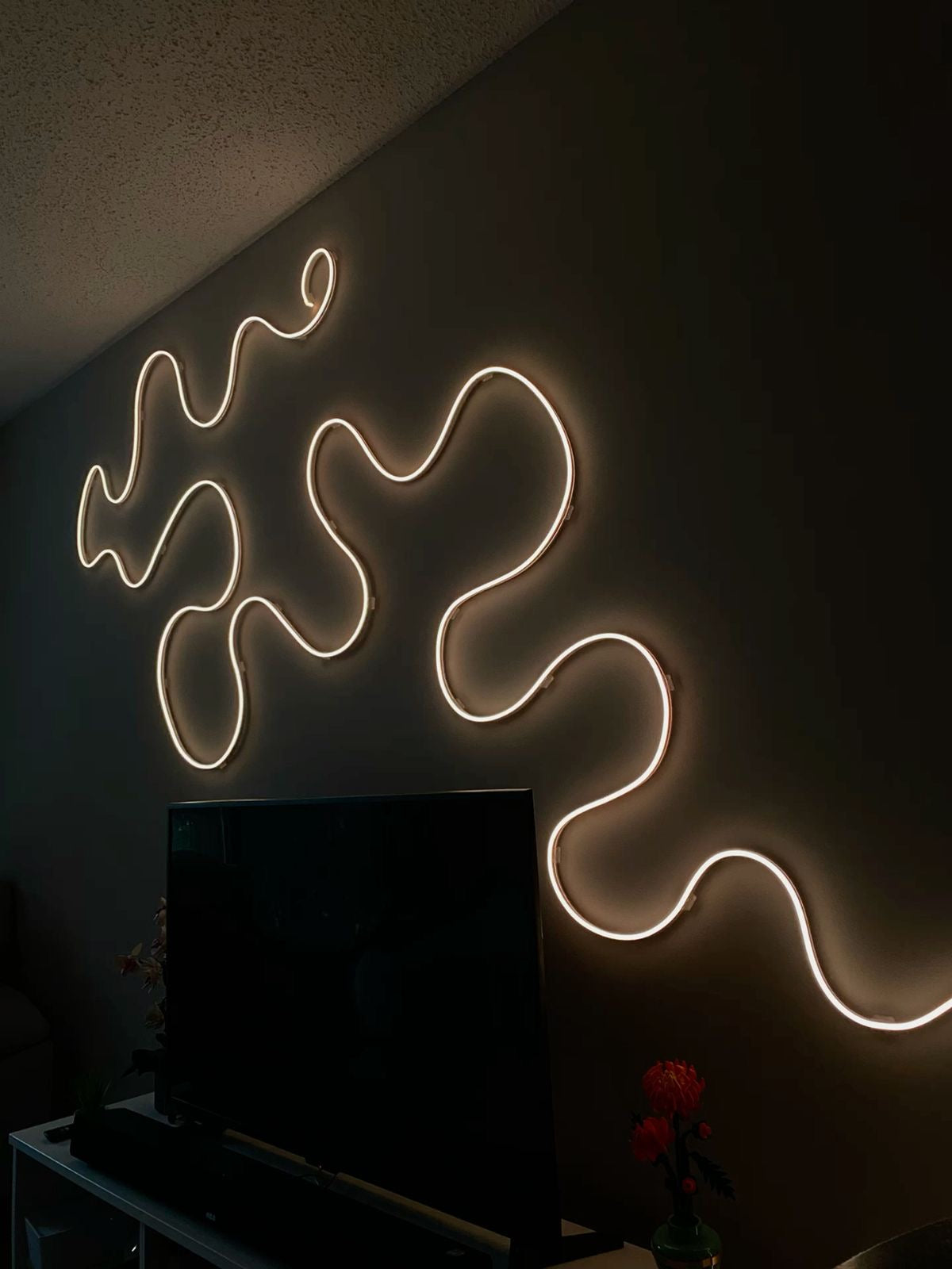 Neon Rope Light
